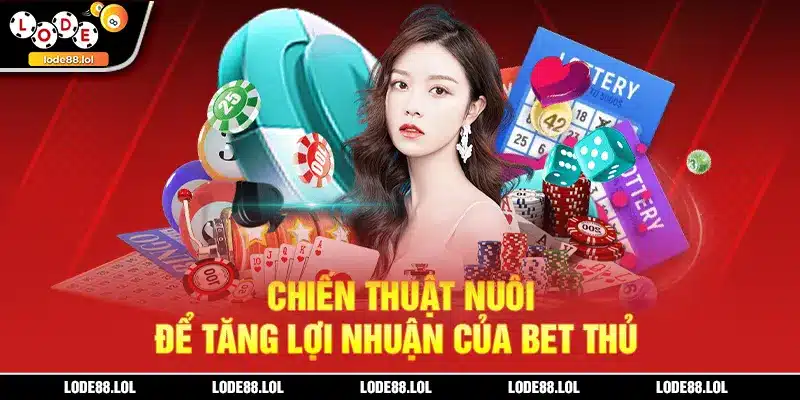 Chiến thuật nuôi để tăng lợi nhuận của bet thủ