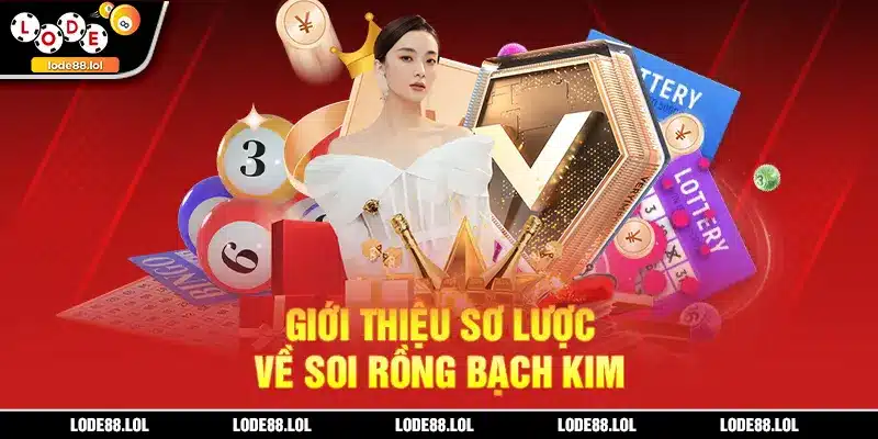 Tổng quan về soi cầu rồng bạch kim